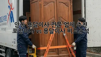 안동 용달이사 전문 업체 추천: 포장이사 vs 용달이사 비교분석