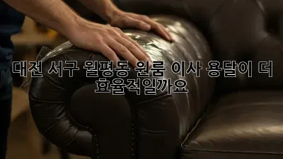 대전 서구 월평동 원룸 이사, 용달이 더 효율적일까요?